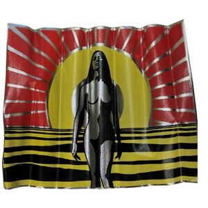 NOS Cal Custom 17.5" x 22 Girl Sun Screen Graphic Murals for Van Windows #4255